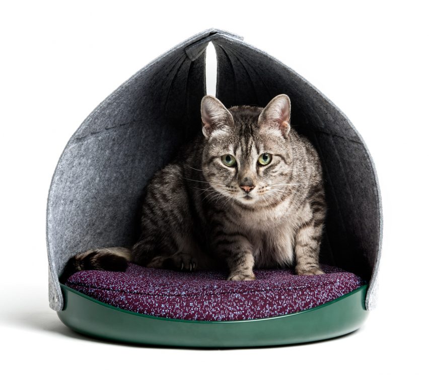 tempat tidur dan tempat makan kucing yang gemas untuk pecinta kucing 